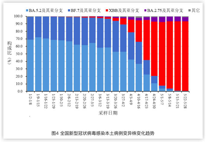 仙桃市最新疫情动态解析报告