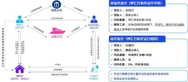 中国最新蝗灾，挑战与应对策略