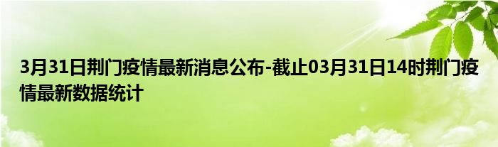 荆门最新肺炎疫情概况概述