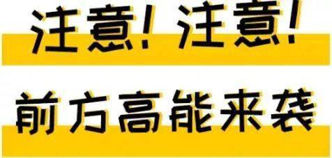 最新相亲网站，重塑现代婚恋模式的桥梁纽带