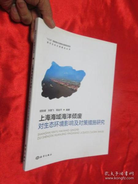 上海大风最新动态，影响及应对措施全解析