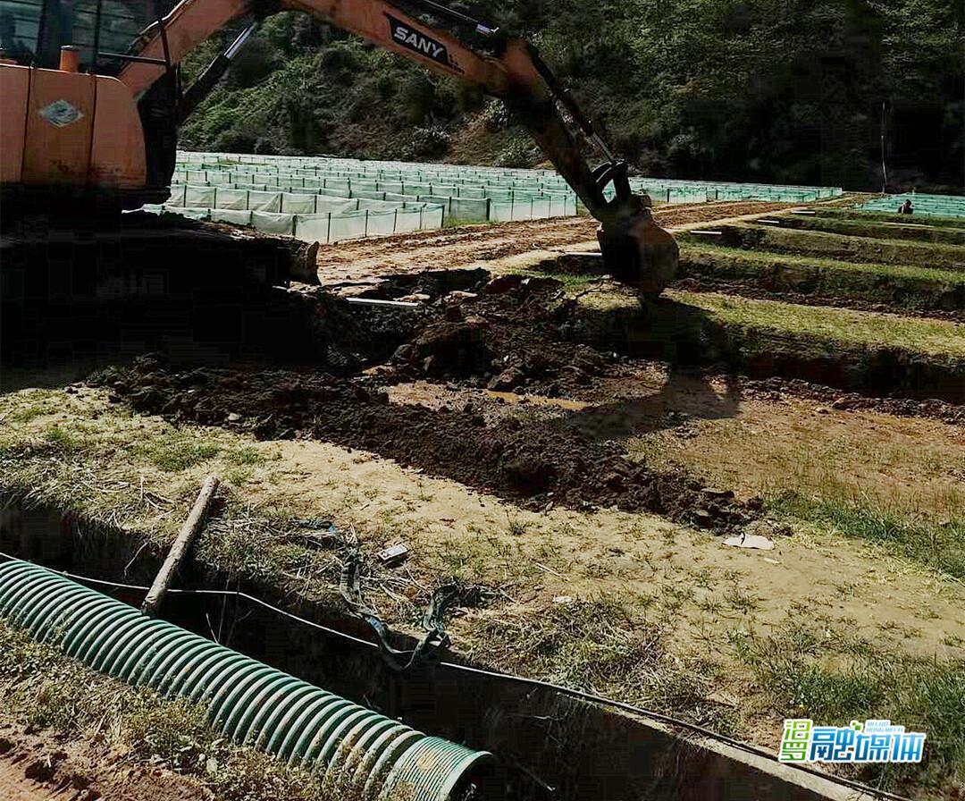 耕地违建最新动态及应对策略综述