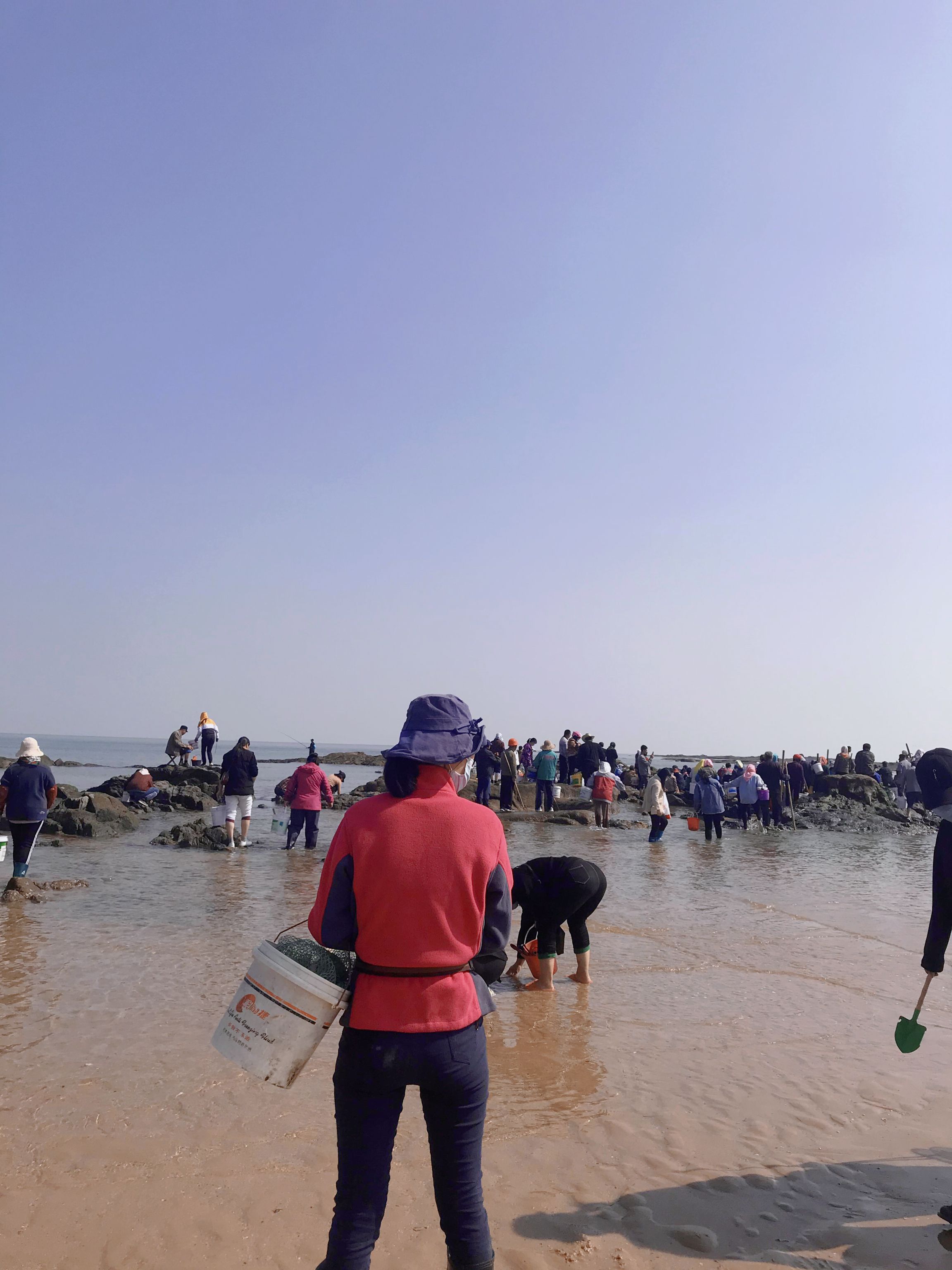 日照赶海最新体验，探索海洋宝藏的旅程