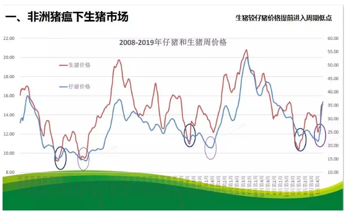 广东猪瘟最新动态及防控措施与未来展望分析