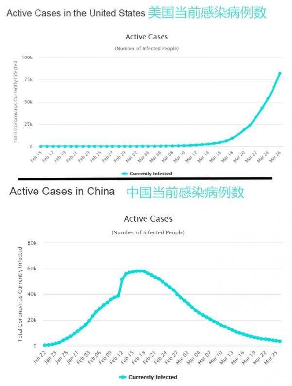 全球疫情动态更新，病毒最新情报与应对策略