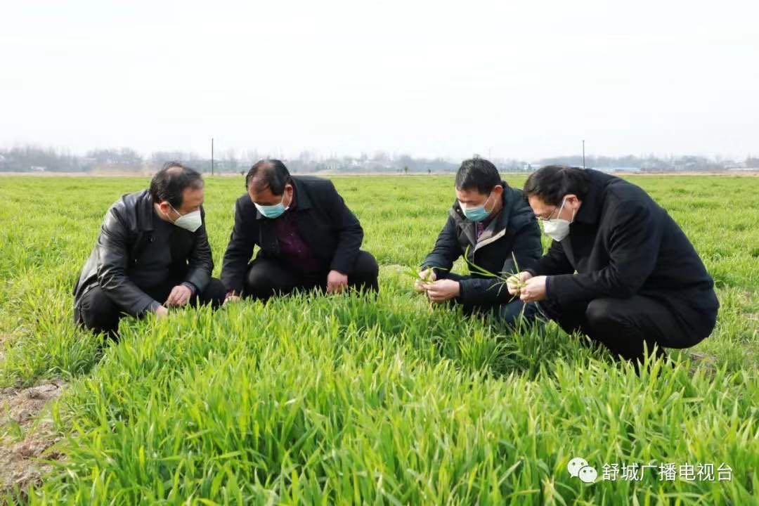 阜阳最新疫情挑战与应对策略