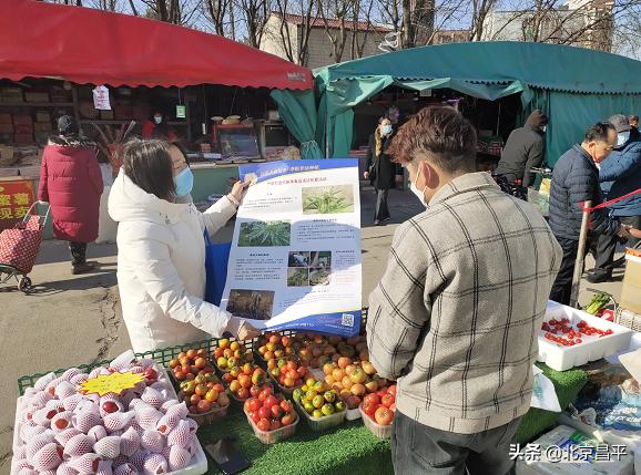 昌平早市最新动态，繁华与活力交织的早晨集市