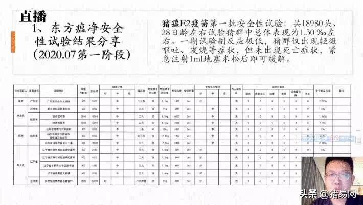 最新猪瘟动态，影响、防控与未来展望