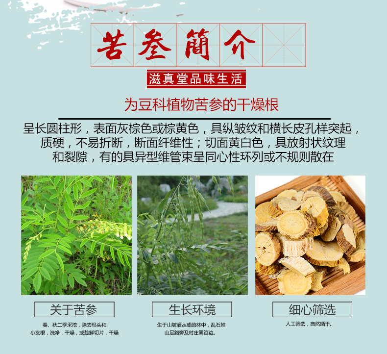 苦参最新价格动态解析