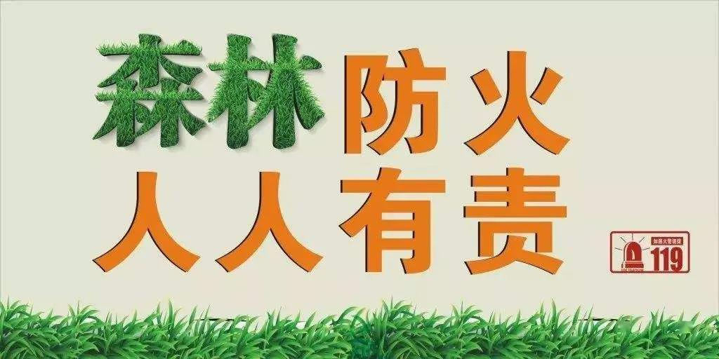 桃源最新肺炎，挑战与希望交织