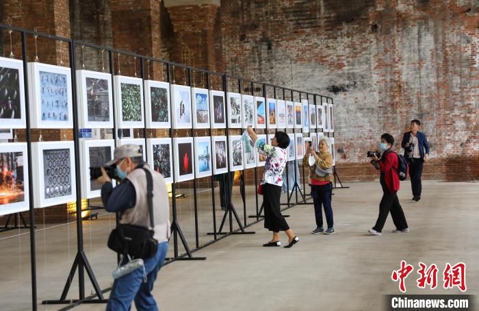 永修归属的最新动态，历史变迁与未来发展展望