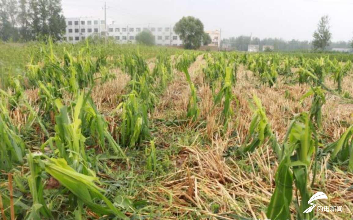 最新大雨冰雹影响及应对策略