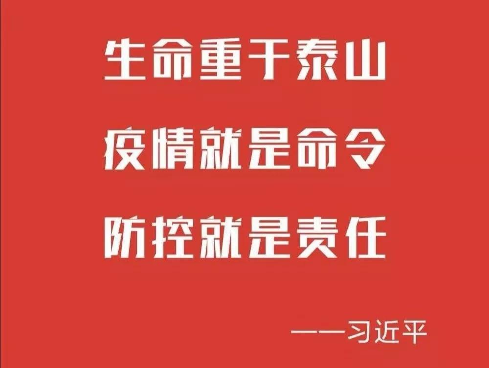 亳州最新确诊疫情，挑战与应对策略