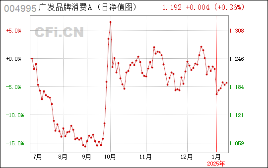 广东长江有限公司，探索发展之路与未来展望