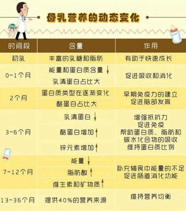 奶水营养与持续时间探究，数月后的奶水营养价值如何？