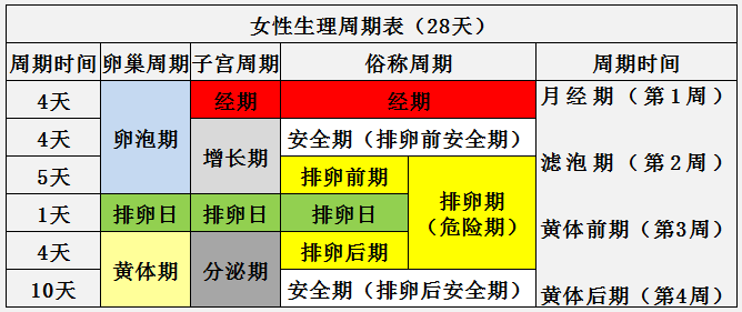 深入了解女性生理周期，一个月中的排卵天数解析