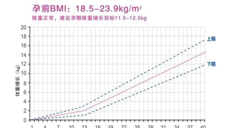 孕妇六个月体重增长标准与重要性解析