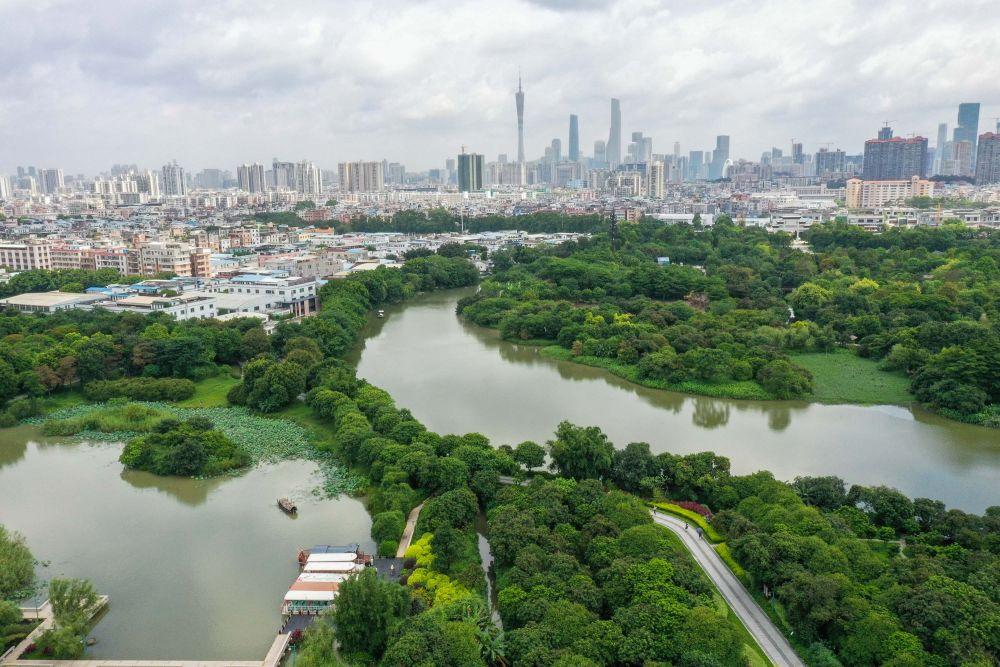 广东迪拜生物有限公司，引领生物科技，照亮未来之光