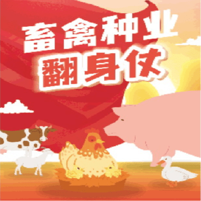 广东英特有限公司，创新发展的先驱典范