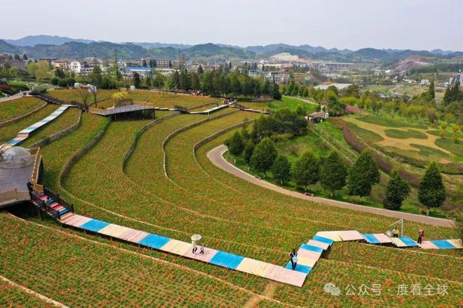 抚顺旅游攻略，探索江苏科技与自然的完美交融之旅