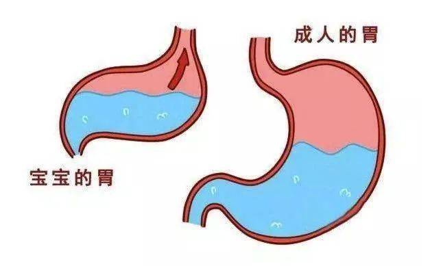 三个月宝宝胃容量揭秘，成长中的奇妙旅程