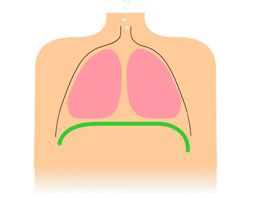 两个月大宝宝睡眠时间与质量深度探讨