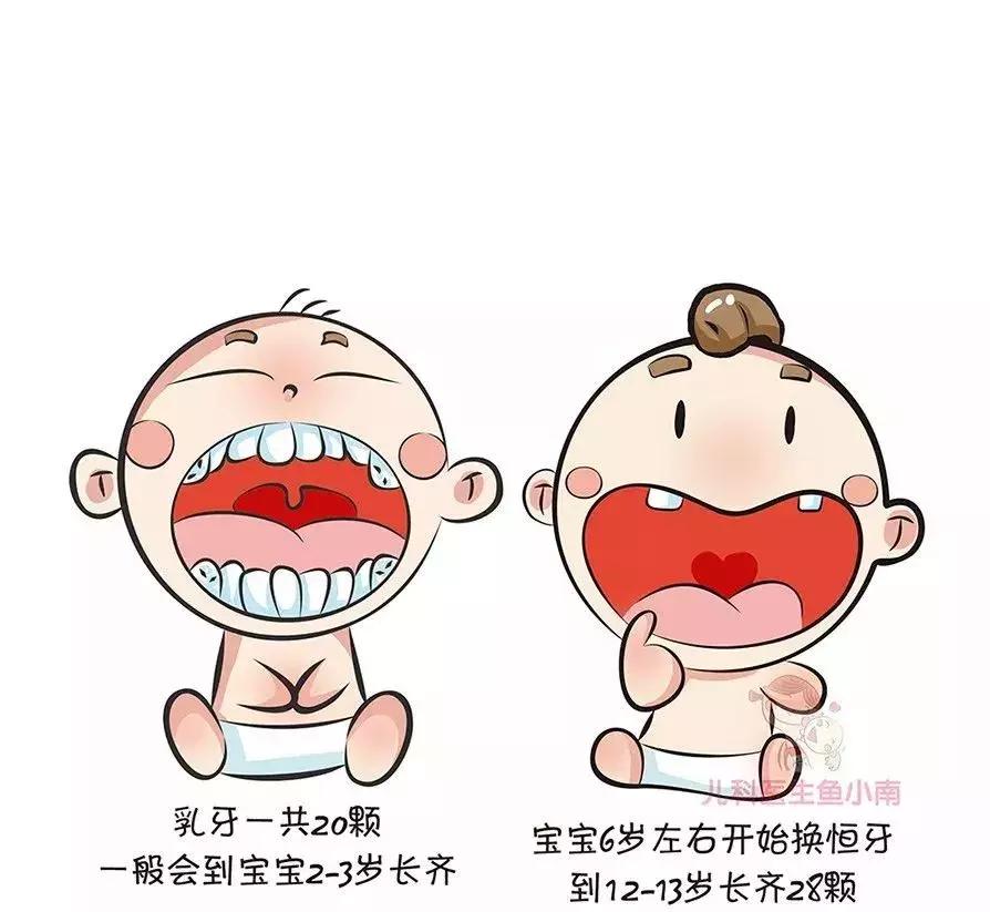 婴儿牙齿生长规律解读，一个月长牙是否正常及注意事项