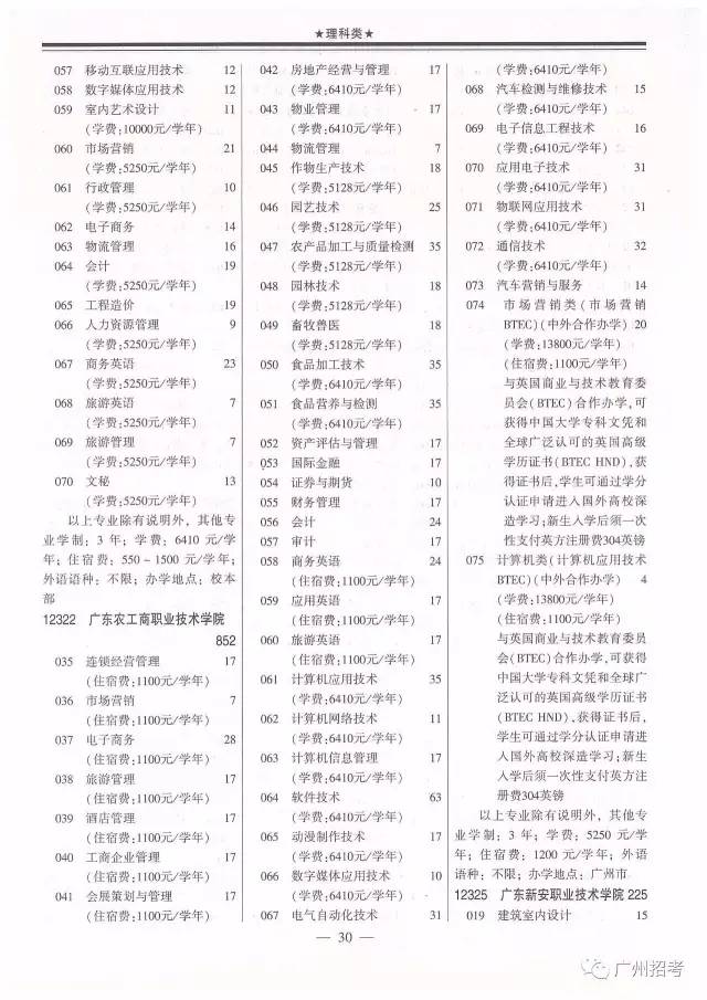 广东省初级审计师的专业成长之路与角色定位