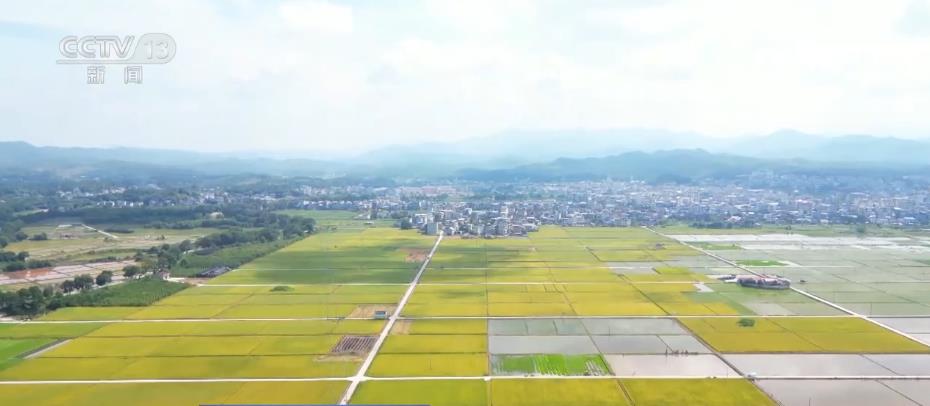 广东省水田垦造，重塑农业生态与经济效益的双重路径探索