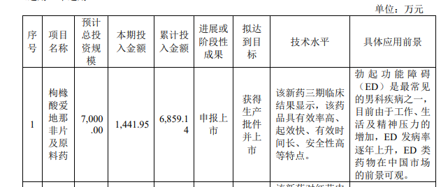 广东伟哥药品有限公司，历史沿革、现状概览与未来展望