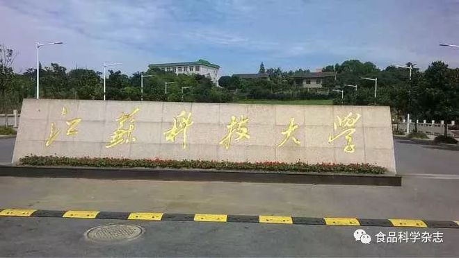 江苏科技大学化工，历史沿革与现代发展概述