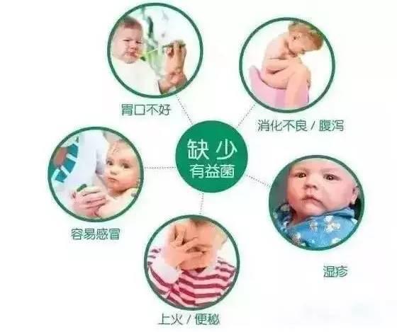 衍生健康广东有限公司，引领健康产业，塑造未来典范之光