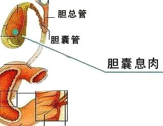 2025年1月28日 第13页