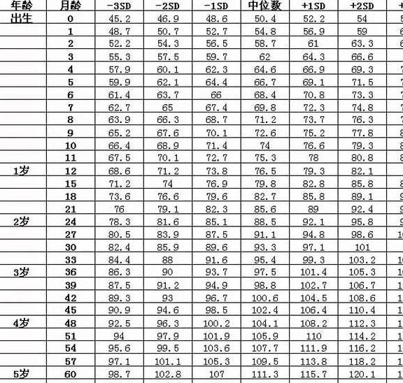 2025年1月28日