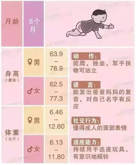 26个月宝宝的成长发育标准探讨