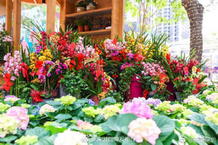 韶关市花店，繁花绽放与城市脉搏同步