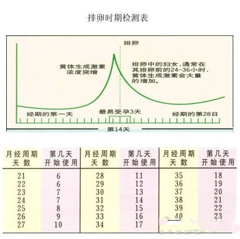 排卵试纸，女性生理周期监测与理解的关键工具