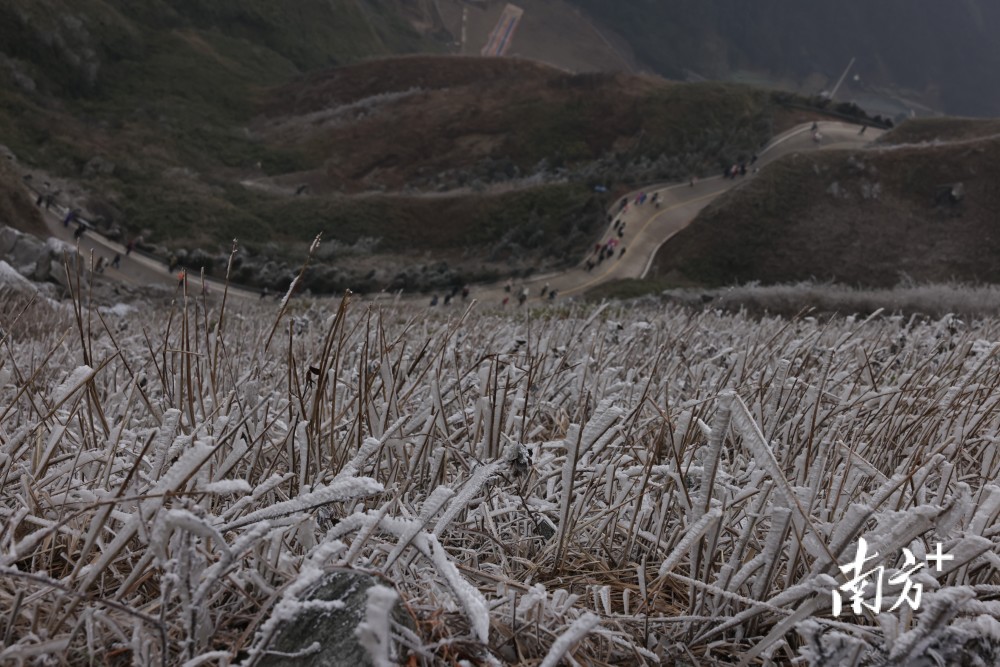 广东罕见下雪景象惊艳冬日