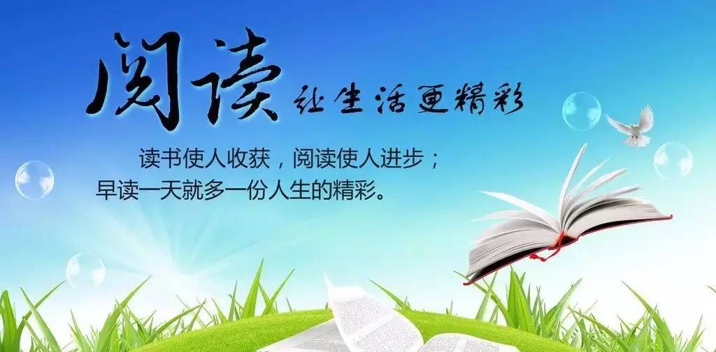 广东省体考满分背后的故事，毅力、汗水与梦想的交织荣光